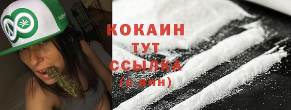spice Верхний Тагил
