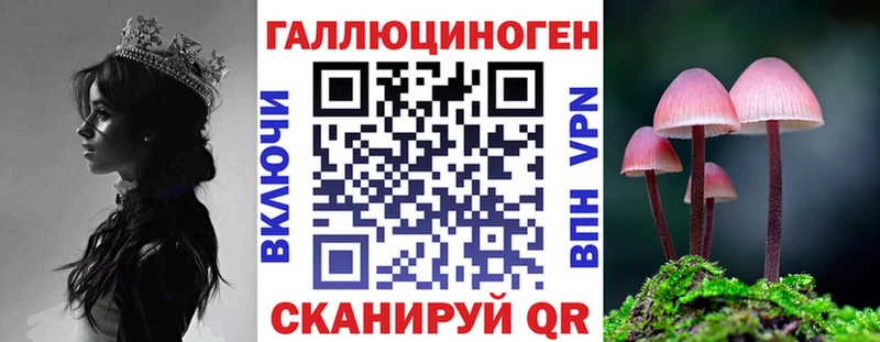 наркота Клин Галлюциногенные грибы Psilocybe